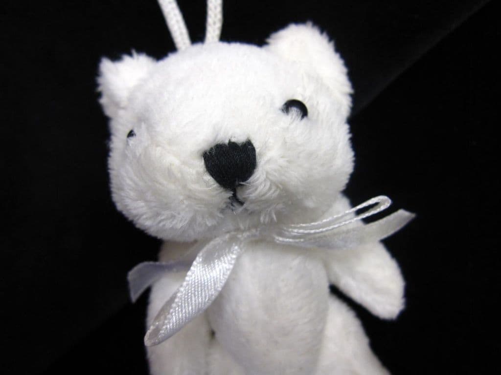 Teddy bear key tassel Ted on a rope small soft toy polyester fabric